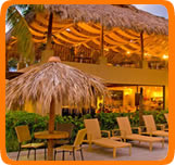 Flamingo Beach Resort, activities 